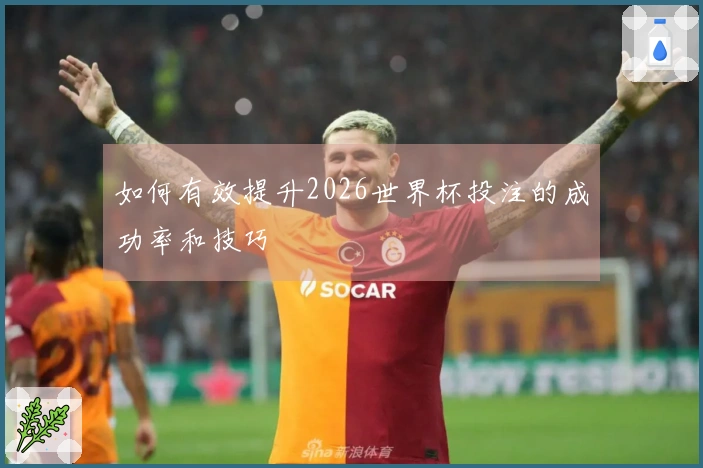 如何有效提升2026世界杯投注的成功率和技巧