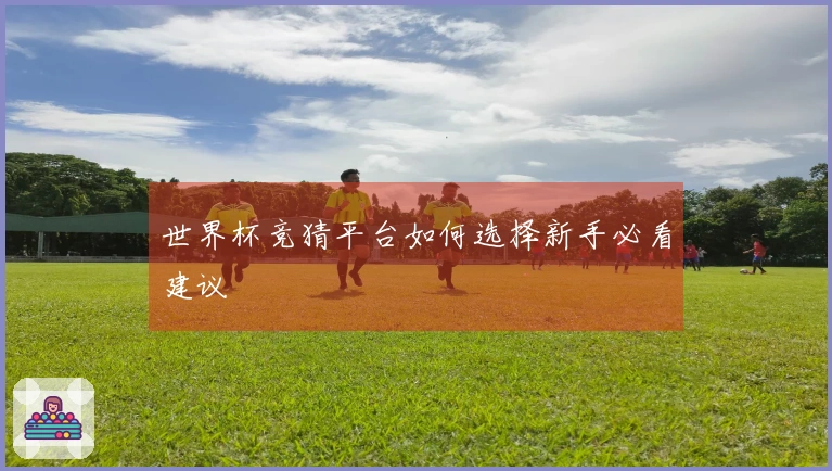 世界杯竞猜平台如何选择新手必看建议