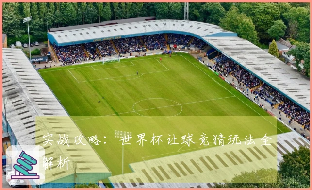 实战攻略：世界杯让球竞猜玩法全解析