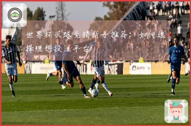 世界杯买球竞猜新手推荐：如何选择理想投注平台