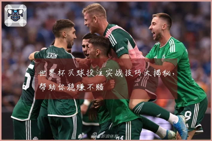 世界杯买球投注实战技巧大揭秘，帮助你稳赚不赔