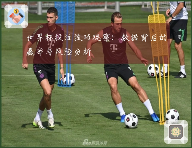 世界杯投注技巧观察：数据背后的赢率与风险分析